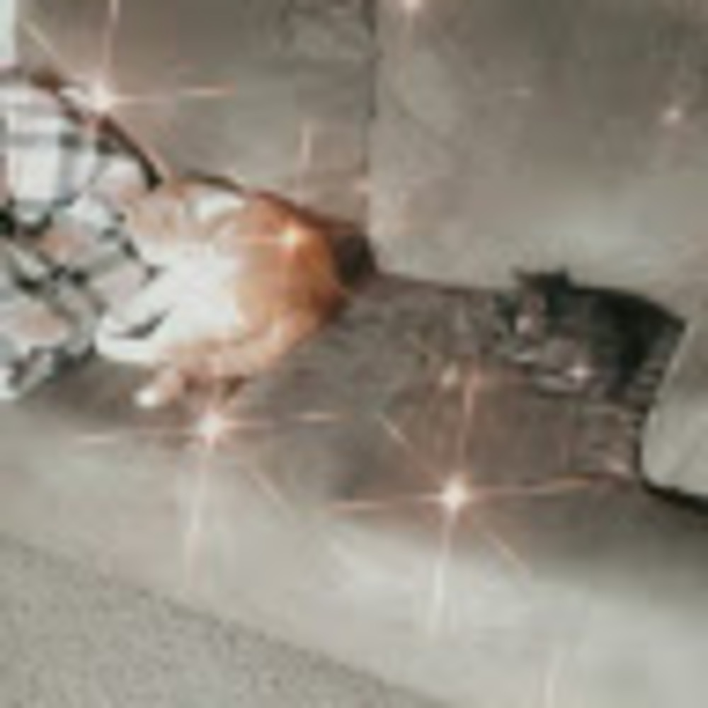 Meet your Posher, Amber